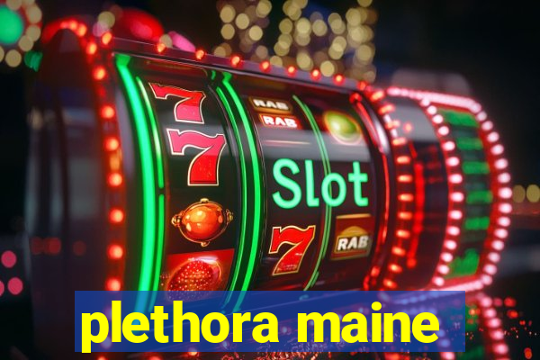 plethora maine