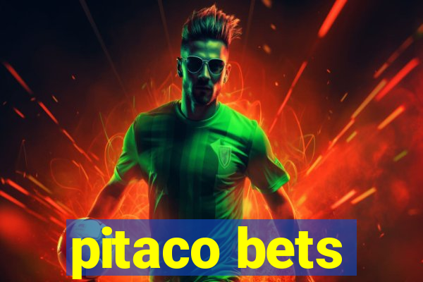 pitaco bets